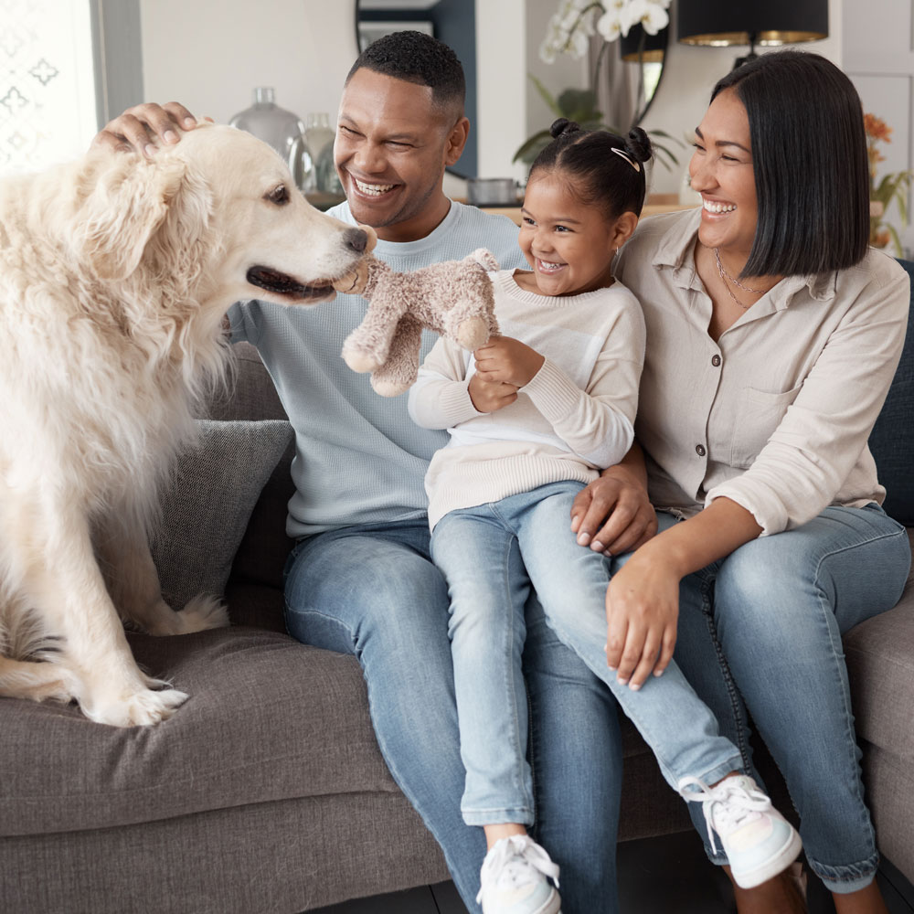 Pet Friendly Furnished Homes
